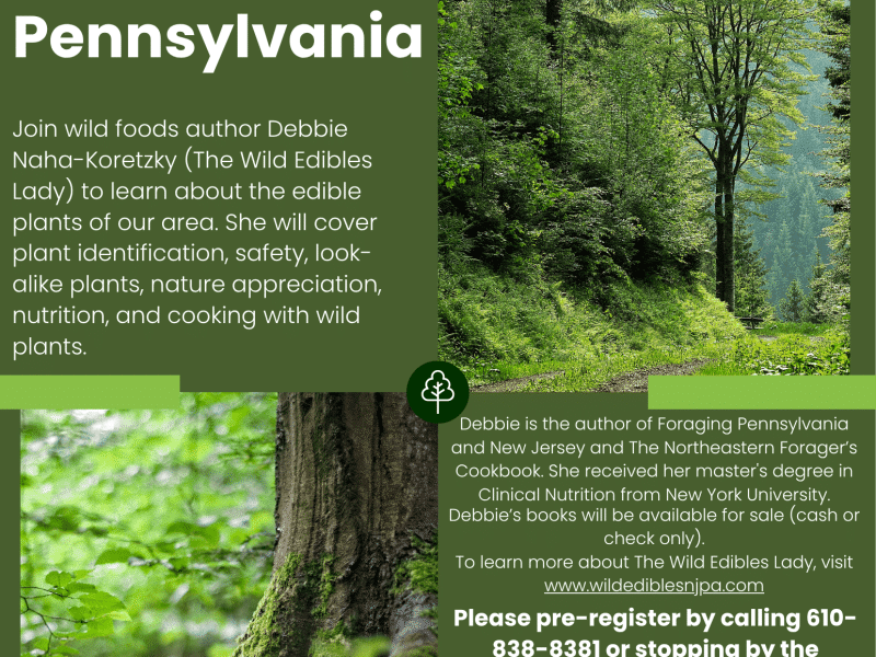 Wild Edible Plants