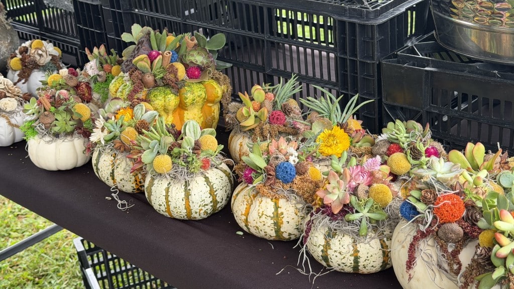 Saucon Valley Farmers Market