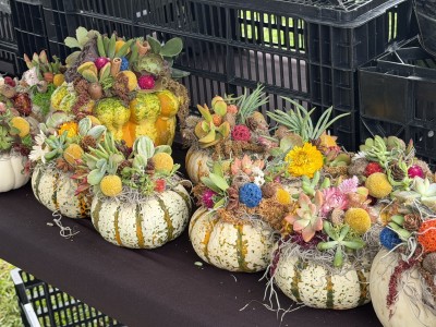 Saucon Valley Farmers Market